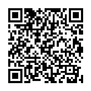 堂堂道圣风北尘当着众人面拿出来的赏赐不显得大手笔一点二维码生成