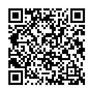 堂堂镇守太监的门子中不可能一个懂事的都没有二维码生成