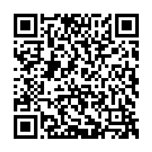 堂堂齐王城的副城主居然是一名三鼎一阶的小子二维码生成