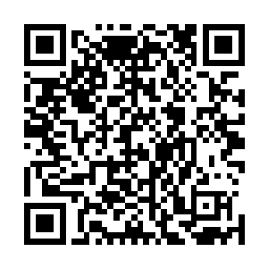 堡主只要看看小树上那颗中级恢复之躯的进阶之果就明白了二维码生成