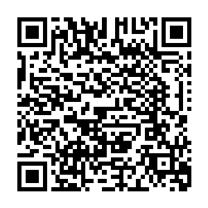 堡主大人还记得上次回崔离的老家龙盘山的时候弄了一些茶种回到黑铁之堡吗二维码生成