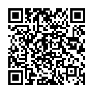 堪塔斯幼崽在成长过程中所需的大量营养品一概没有二维码生成