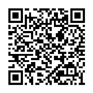 堪塔斯的威压不自觉的从这名幼崽身上瞬间爆发二维码生成