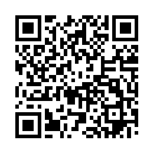 塔塔利亚的塔罗牌和阿明的攻击火箭弹二维码生成