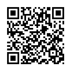 塔塔林一眼就看到了贴着墙根站着的机器人z2093二维码生成