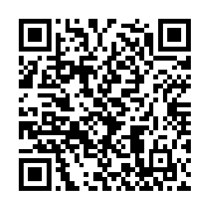 塔塔林小心的用机器人的名字作为了交谈的敲门砖二维码生成