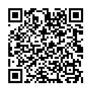 塔尔塔罗斯也将全部注意力集中在了楚旬的身上二维码生成