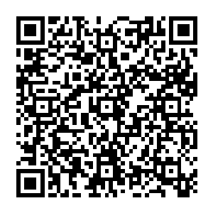 塔尔塔罗斯在之前就经历过寅虎等人以灭世天火和创世神雷相融合所制造出来的雷火冲击二维码生成