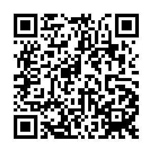塔尔塔罗斯的强大力量也一次又一次的震伤了楚旬二维码生成