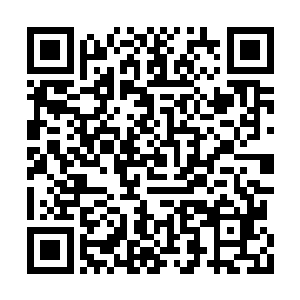 塞尔内斯战区的飞艇部队的结局是否会更好一点二维码生成