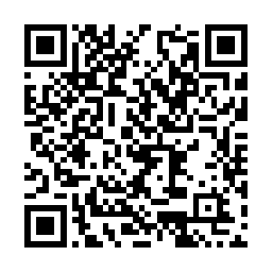 塞巴斯塔看着镜片上的光点开始了杂乱无章的晃动二维码生成