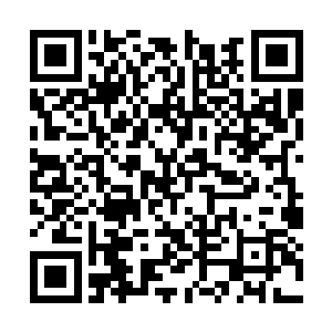 塞巴斯蒂安只能够看着荣光从自己的身后突破……二维码生成