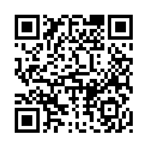 境界实力都达到了一个恐怖的程度二维码生成