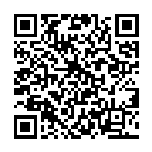 境界的差距和虚空掌控的优劣让楚庄王遁速完胜孟奇二维码生成