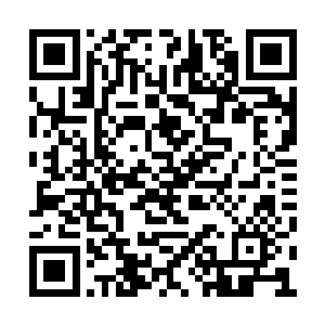 境界观在孙子轩这一巴掌之下被完全打崩溃掉了二维码生成