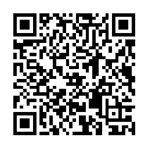 墙壁上的水渍也隐约看得出来是一个人的背影……二维码生成