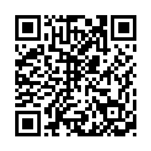 墙壁四周都布满了各种植物和花卉的图案二维码生成