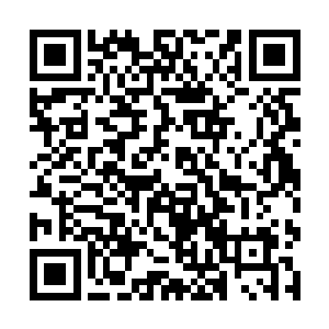 墨修尧更多的注意力自然是在西北和周边各国的边境二维码生成