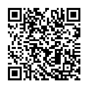 墨修尧没好气的瞥了一眼占据他娘子怀抱的小包子二维码生成