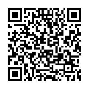 墨凤看着石中天把一根根粗大的金针扎入他体内二维码生成