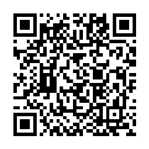 墨呈将另一颗送给韩锋的异灵隐身果埋在了三十里外二维码生成