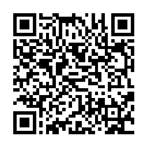 墨坚尊主便带着血锋帝国参加第三次天才选拔赛的后辈天才二维码生成