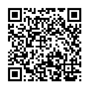 墨境元与另外一个吴国八级傀儡师一起作为控阵者二维码生成