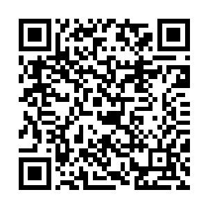 墨子阮忽然觉得那晚上送骨头兔子的自己就是一傻~逼二维码生成