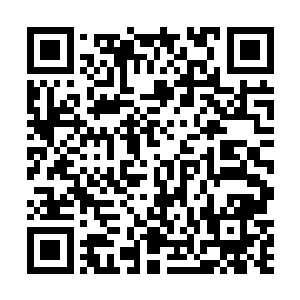 墨家军根本不可能再抽出二十万人偷袭西陵大军的后方二维码生成