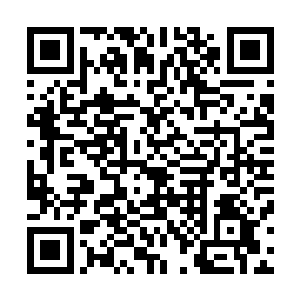 墨家军的将士对于宫里的那位早已经无法抱有太多的希望了二维码生成