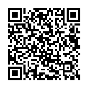 墨家军马背上帮着成袋的干草和马儿喜欢的食料二维码生成