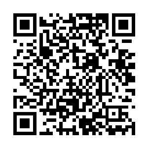 墨小姐现在正在和人打架……据她身边的护卫告知二维码生成