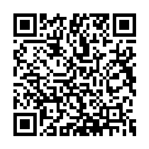 墨岭和安道夫目光看着半躺在家主宝座上的剑尘二维码生成