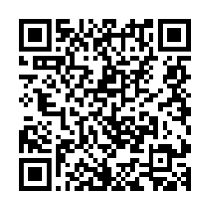 墨已经不知道如何躲过了那一拳已经在躲避着天道踢出的脚了二维码生成