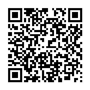 墨府内的几名神境长老也时常来第七座长老行宫拜访二维码生成