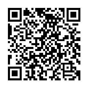 墨怀和农怜花三个人都是斩杀了八十七只仙王后期巅峰的魂兽二维码生成