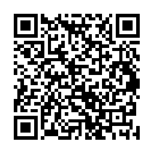墨族那边确实很好奇近些年来人族到底多了什么神奇手段二维码生成