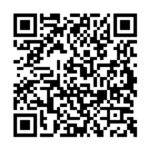 墨无忧狰狞的取出沈扬炼制的疗伤圣药倒了上去二维码生成