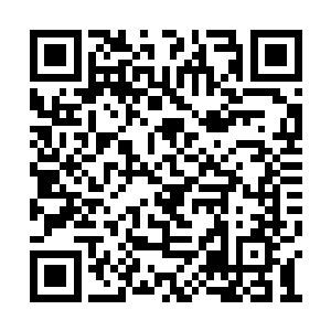 墨既然已经看穿了夏天的一切和夏天的所有记忆二维码生成