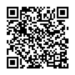 墨景祈目光转也不转的盯着眼前的白衣冷颜女子二维码生成