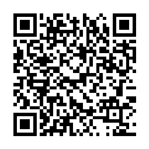 墨景黎这个摄政王的脸真的是要被人人在脚下踩了二维码生成