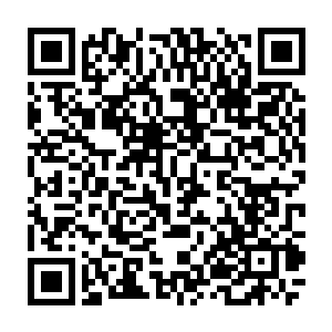 墨正忽闪着自己的大眼睛只穿着一件天道的t恤坐在沙发上咬着大苹果看电视二维码生成