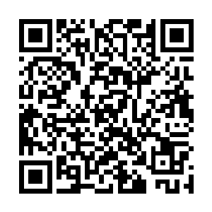 墨老祖将百万雄兵尸体的魂魄全部吸收进那黑色水晶球二维码生成