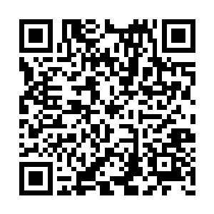 士为知己死的俄罗斯姑娘有相当强烈的效忠意愿二维码生成