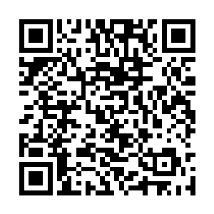 士官以上军官都有一项把手下推荐给师团的权利哦二维码生成