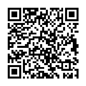 声波携带的冲击性能量掀废了他身周地面的积水残冰二维码生成