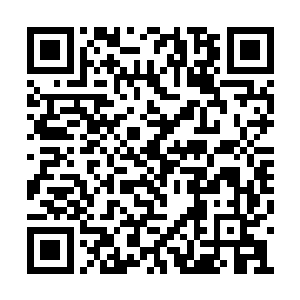 声音年青而带着沧桑的女法师降临在军团最前方二维码生成