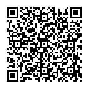 声音更是··突然想知道他们母亲看着自己的十二个崽的人形模样的时候是怎样的心情··二维码生成