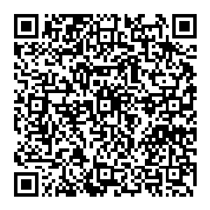 声音的传播需要介质　大部分情况下这种介质就是空气　而现在　空气全部被赵纯良控制　大汉哪里能把声音传出去二维码生成