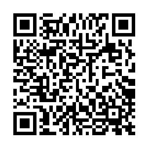 处理了几件公务上的事后便开始检查洪城各处产业经营状况二维码生成